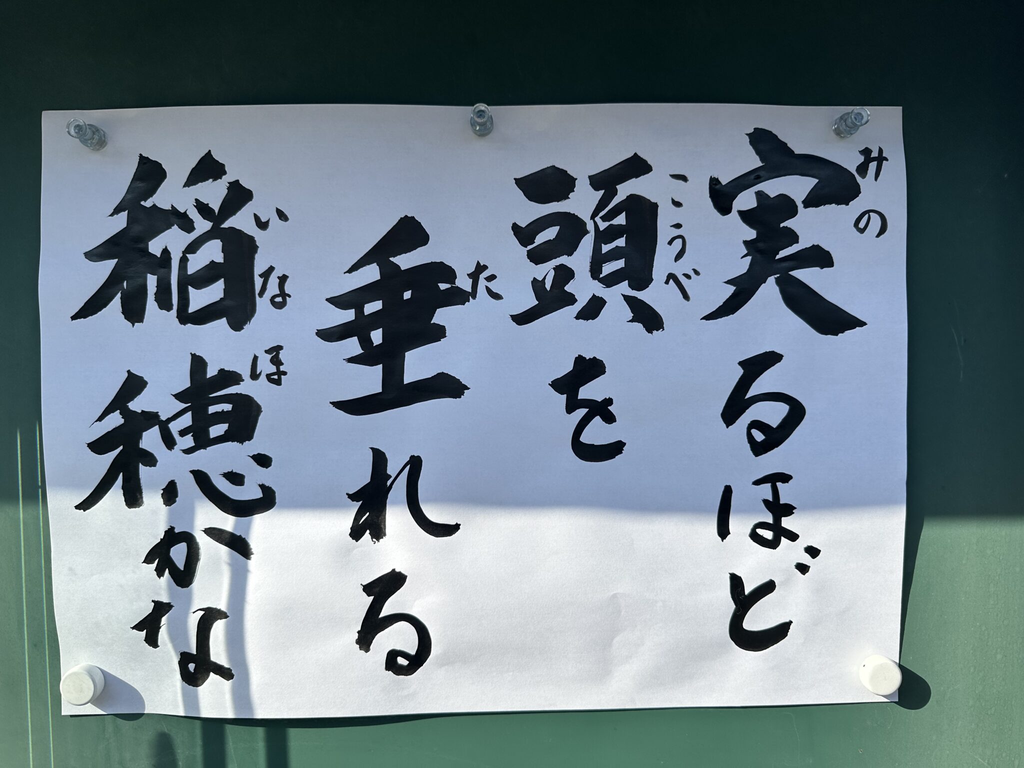 実るほど頭を垂れる稲穂かな（令和5年10月） | 天龍山 昌寿院
